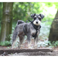 Mini Waterproof Dog Harness