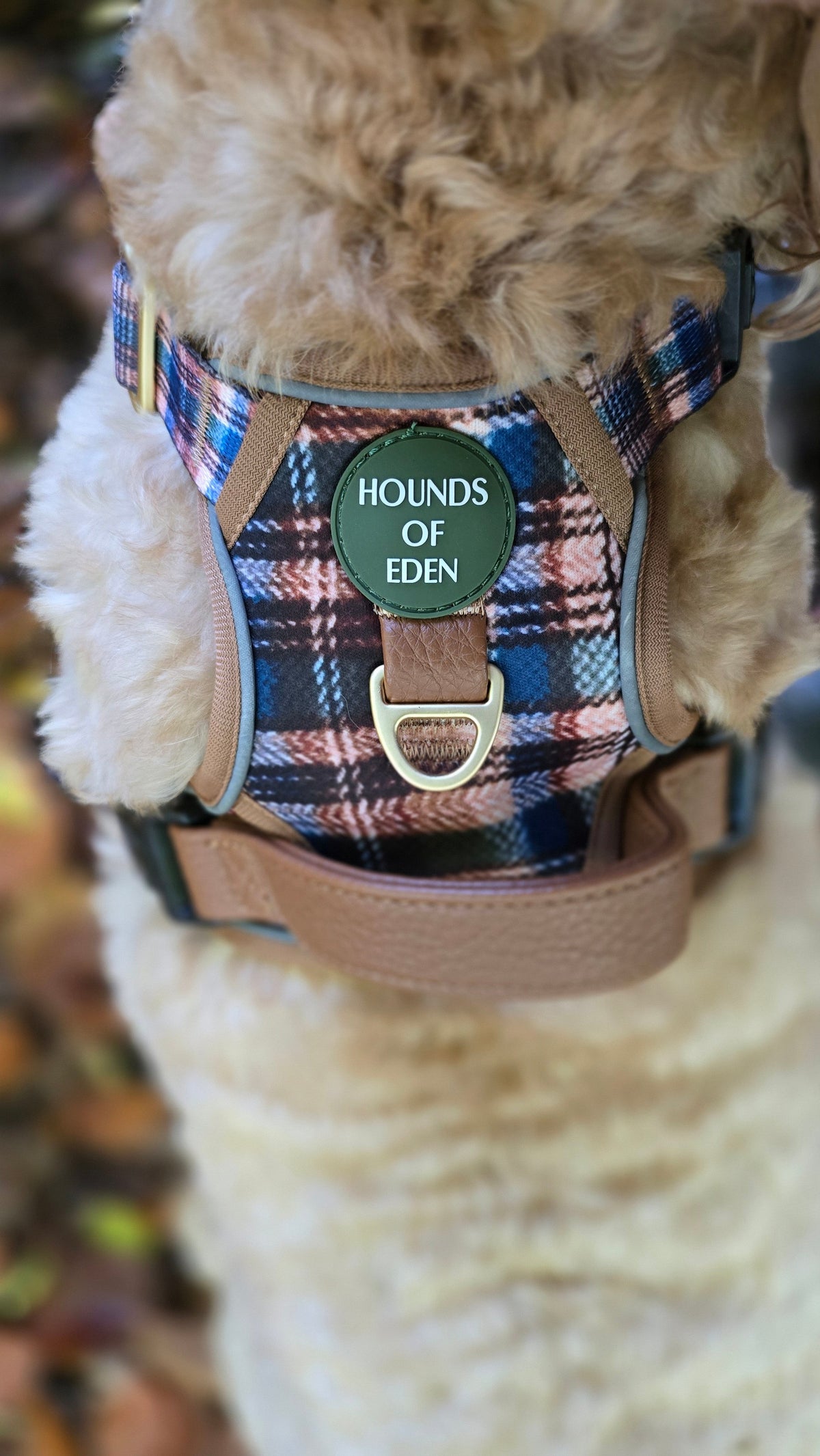 Oak Forest Plaid Supaw Strong Lite™ Dog Harness 🌲