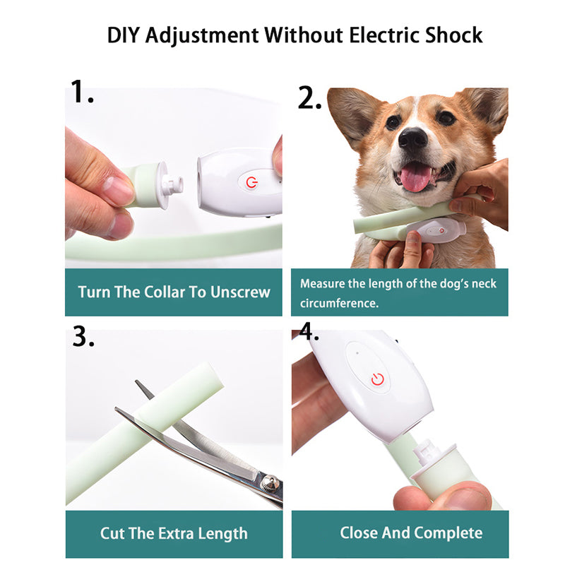 USB Rechargeable LED Dog Collar