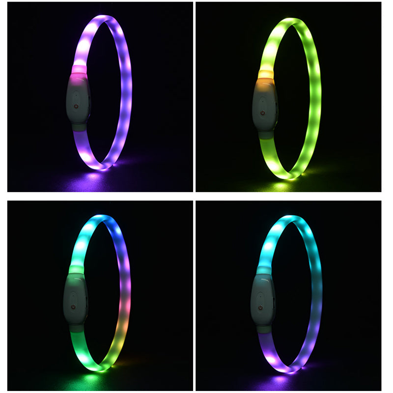 USB Rechargeable LED Dog Collar