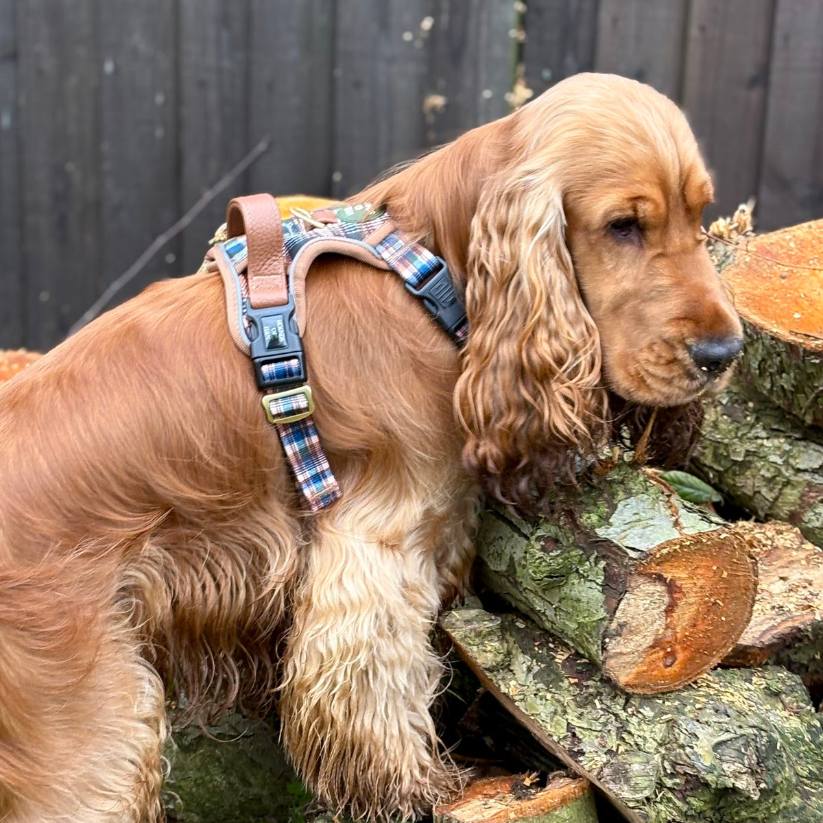 Oak Forest Plaid Supaw Strong Lite™ Dog Harness 🌲