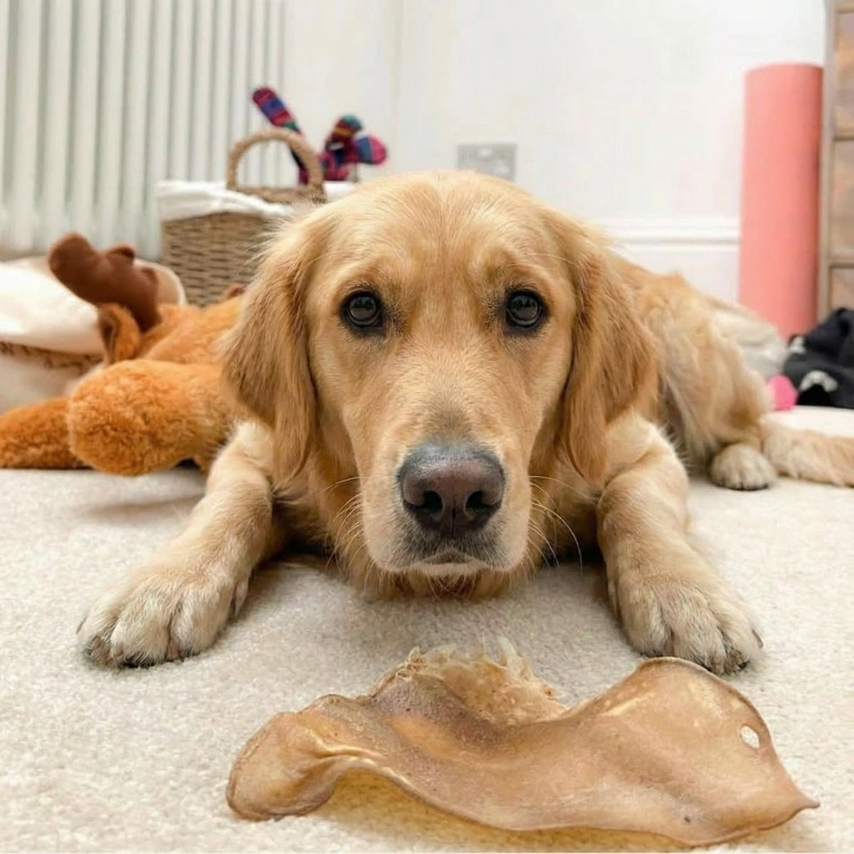 Buffalo Ears for Dogs – 20 or 50 Ears