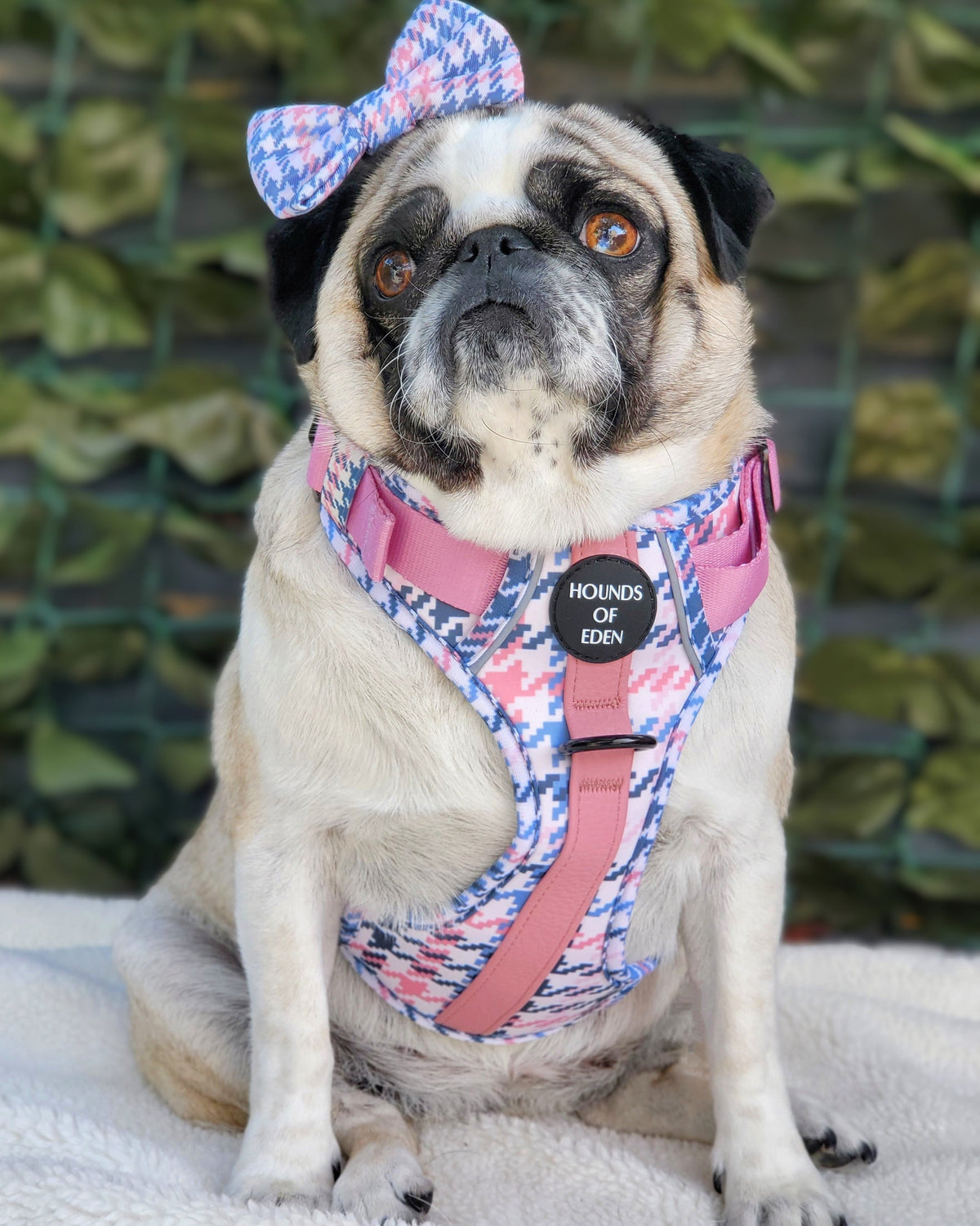 Pink Houndstooth Vegan Leather Dog Collar