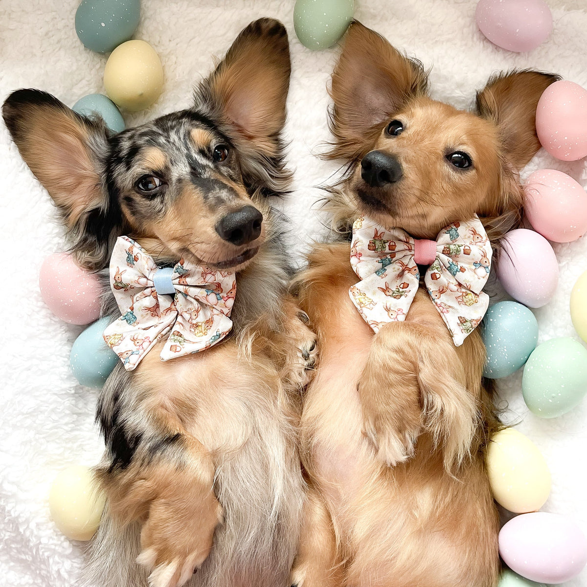 Bunny Tales - Blue, Dog Harness (XXS-XS)