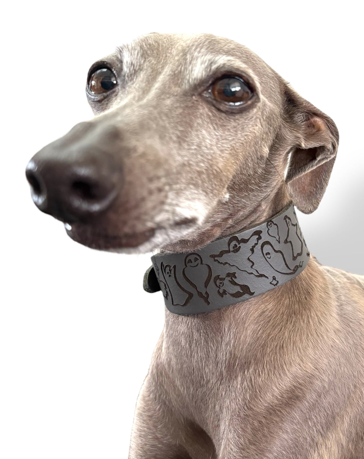 Ghosties Halloween Leather Dog Collar 👻