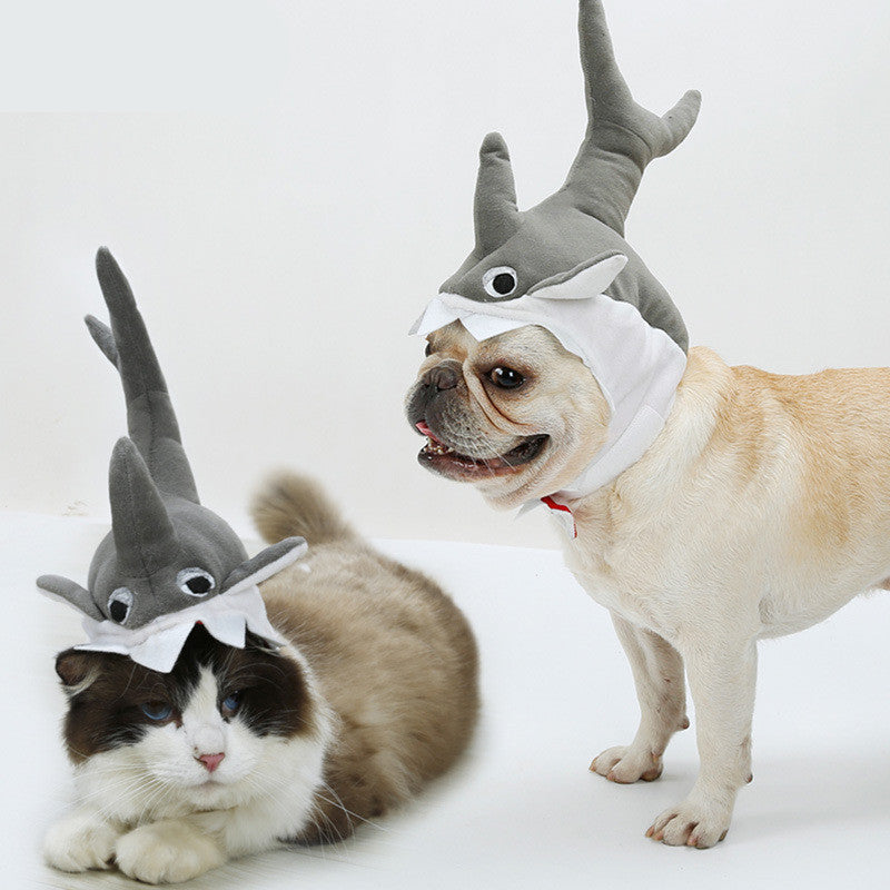Halloween Shark Dog Hat 🦈🎃