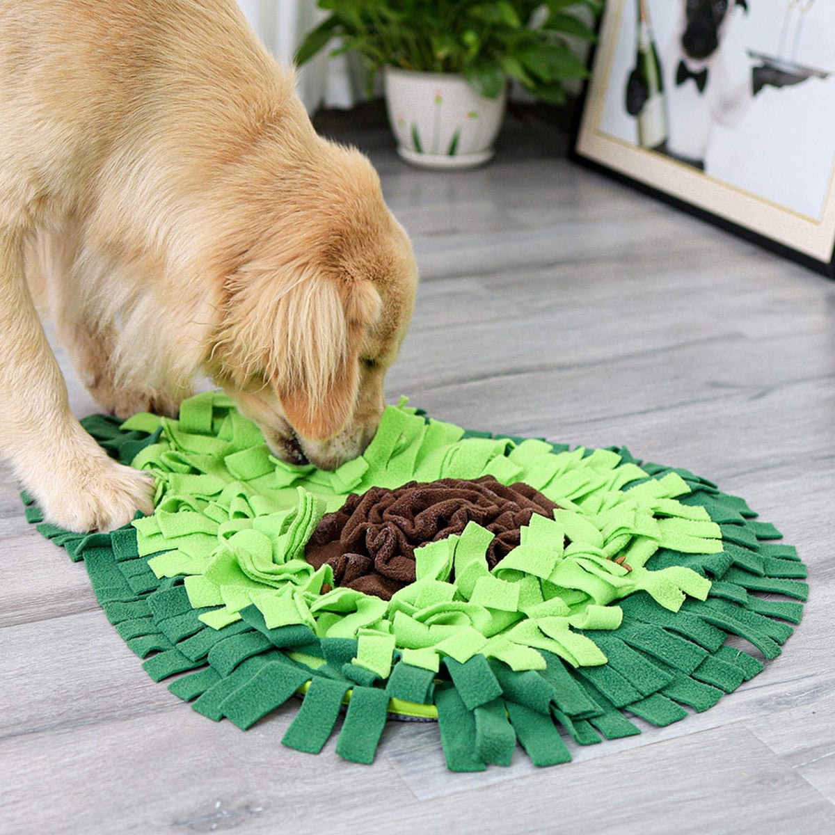 Dog Snuffle Mat – Interactive Sniffing & Enrichment Toy