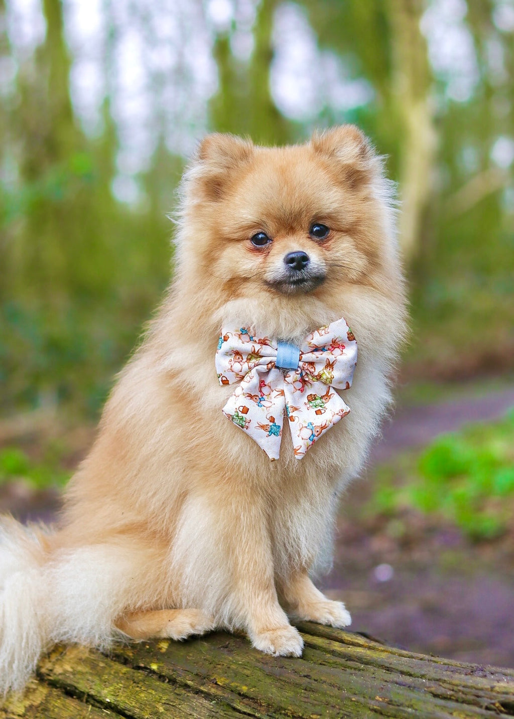 Bunny Tales - Blue, Sailor Bow Tie