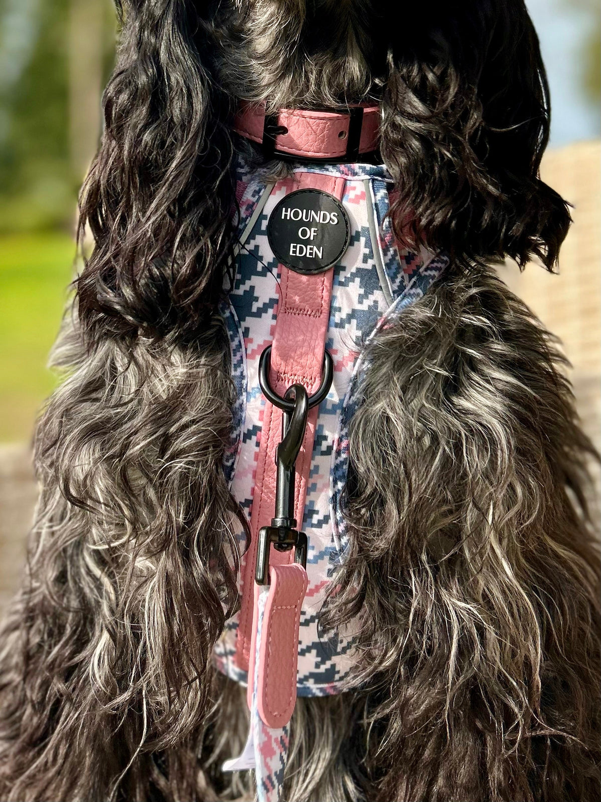 Pink Houndstooth Vegan Leather Dog Collar