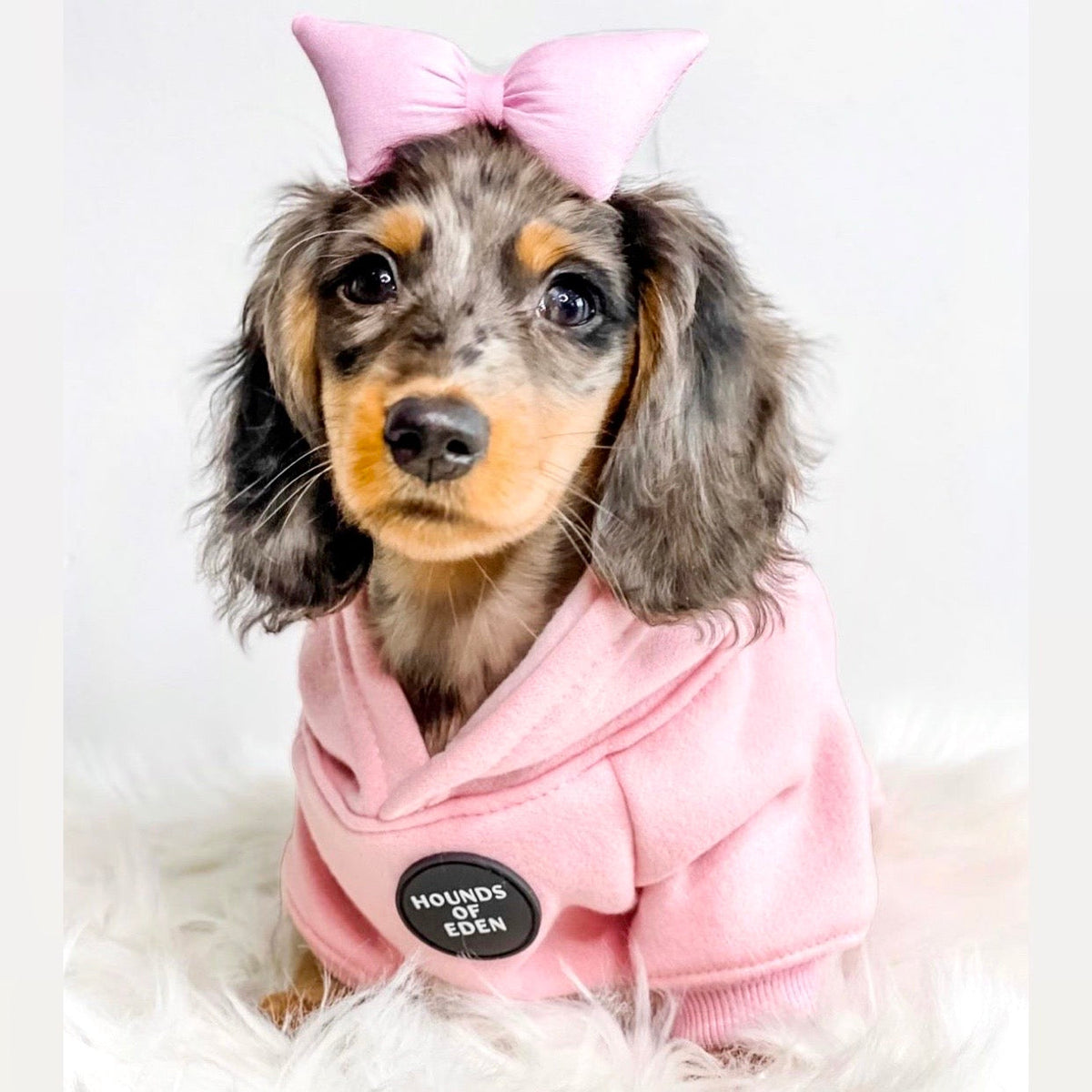 Light Pink Dog Hoodie