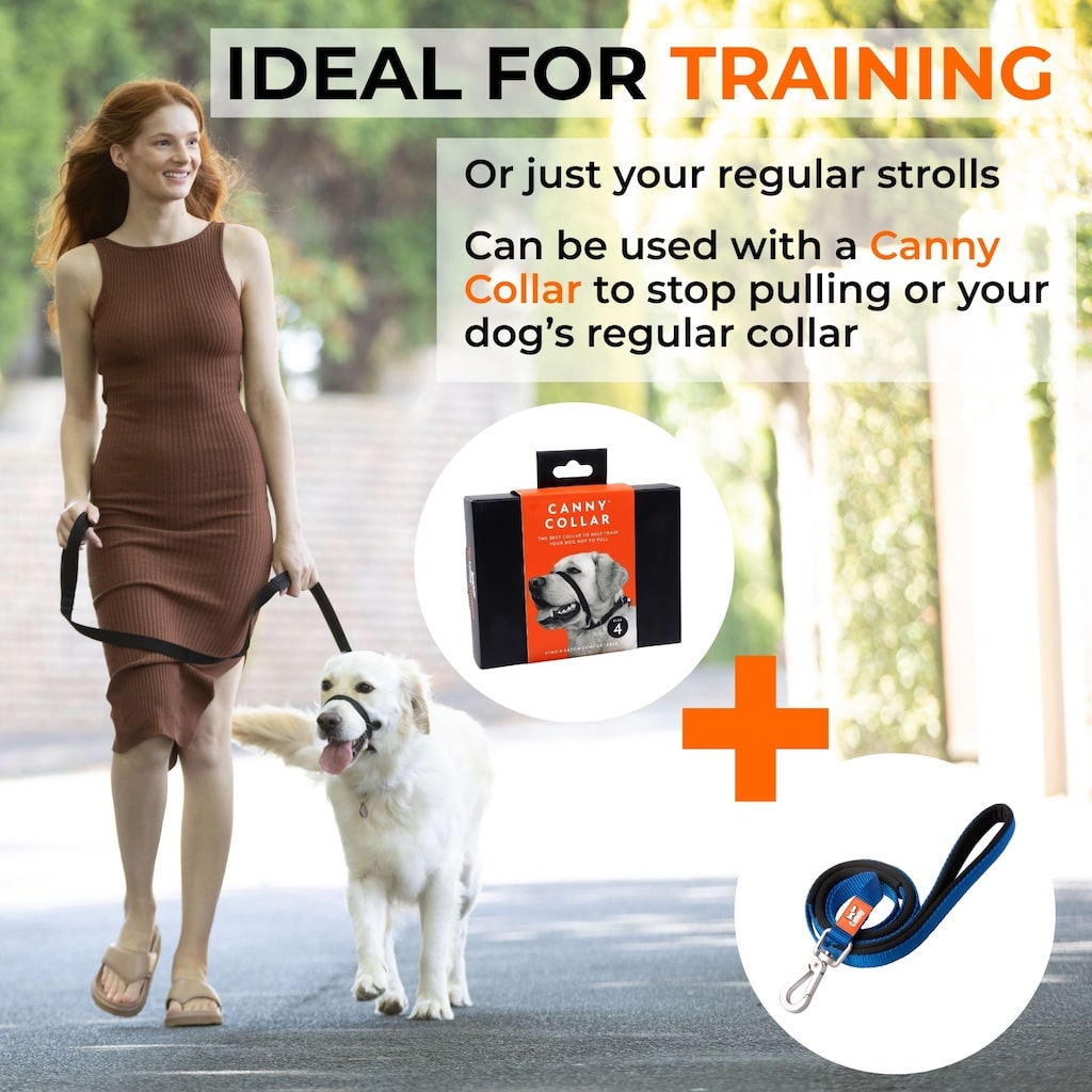 Canny Lead – Dog Walking & Training Lead, 120cm