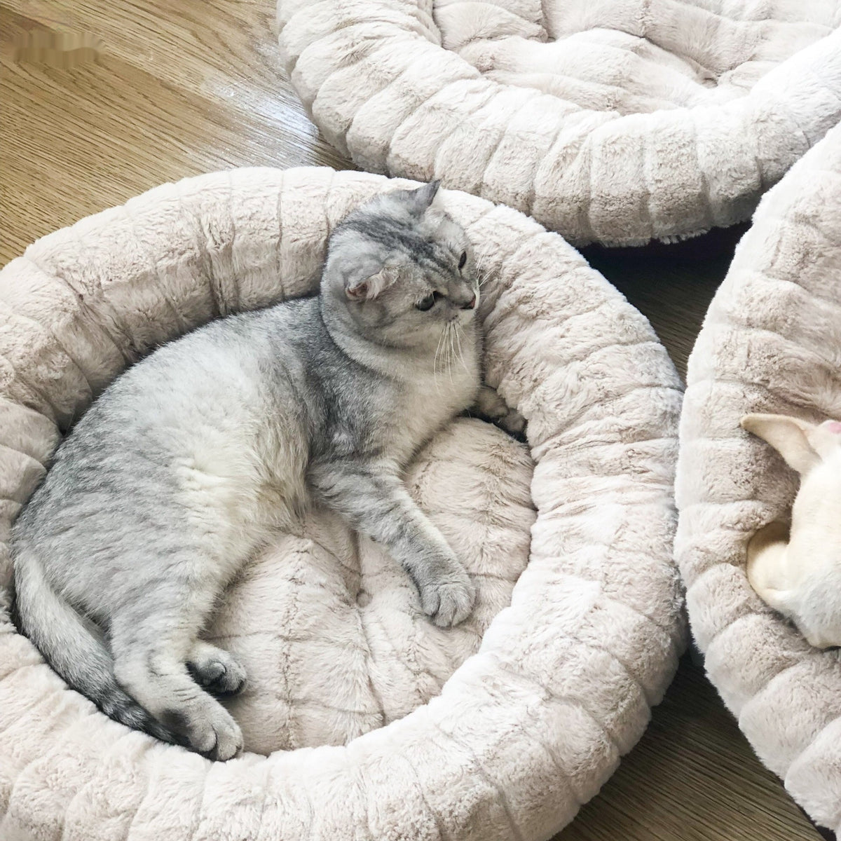 Round Plush Dog Bed