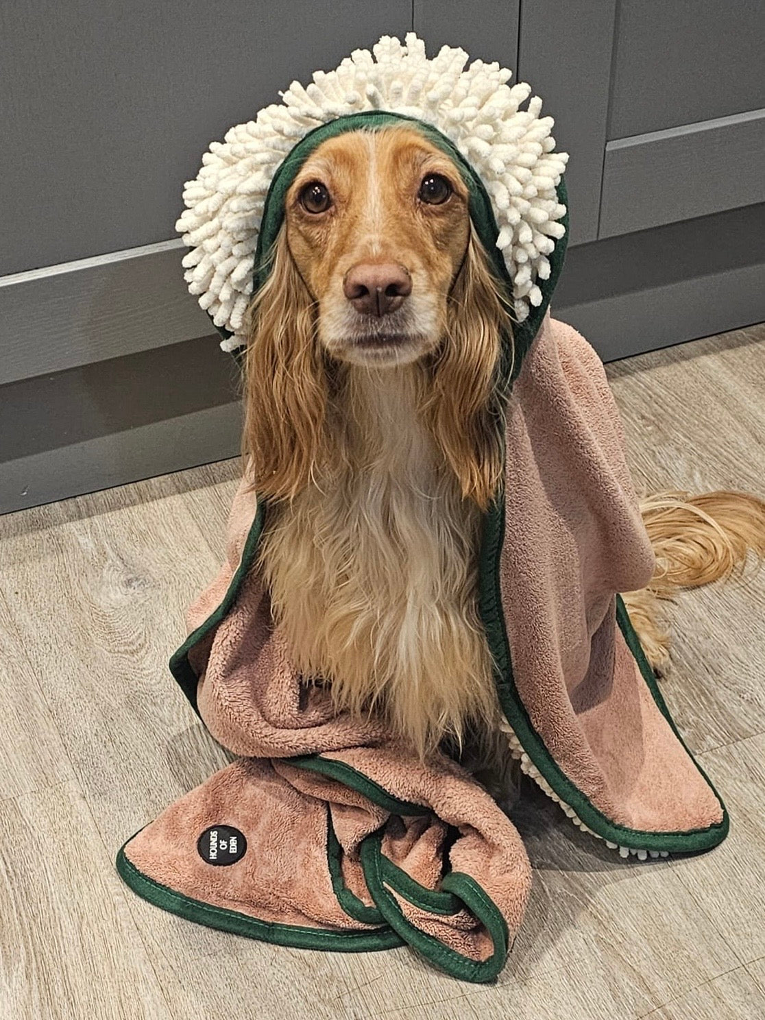 Bella's Jumper Dog Towel