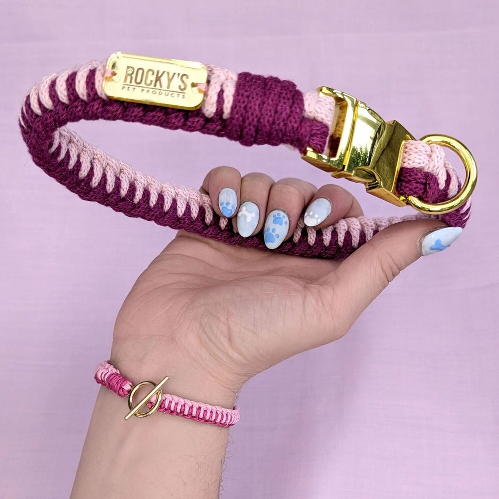 Make Your Own Dog Collar & Friendship Bracelet Kit - PINK🐾