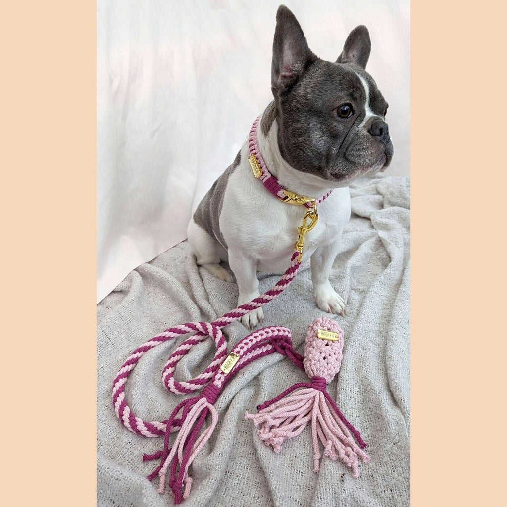 Make Your Own Dog Collar & Friendship Bracelet Kit - PINK🐾