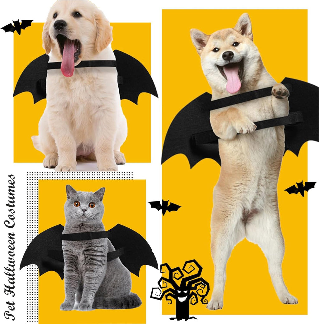 Skeleton Bat Wings Halloween Dog Costume 🦇🎃