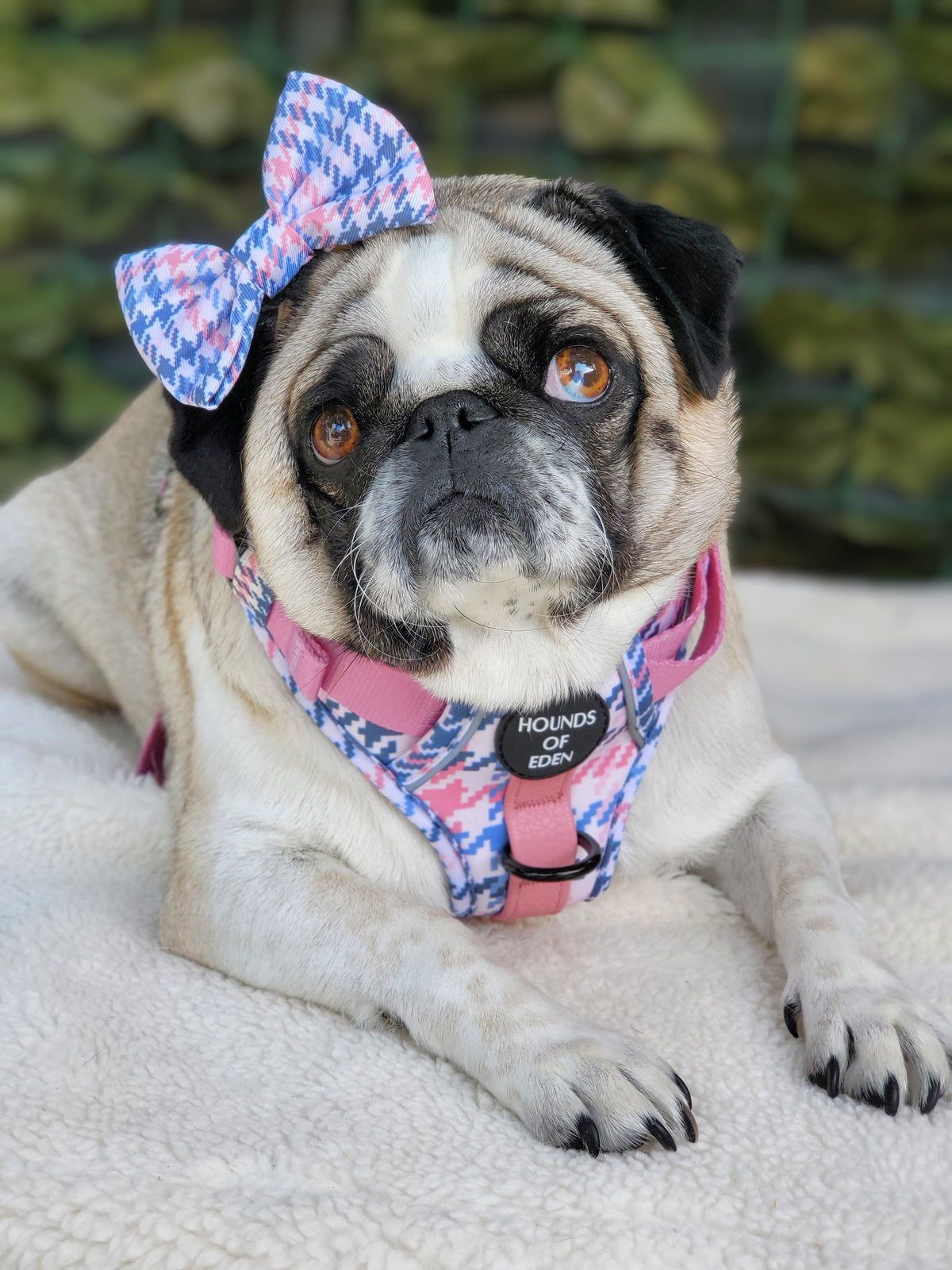 Pink Houndstooth Vegan Leather Dog Collar