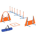 PawHut 6-Piece Dog Agility Training Set 🐾