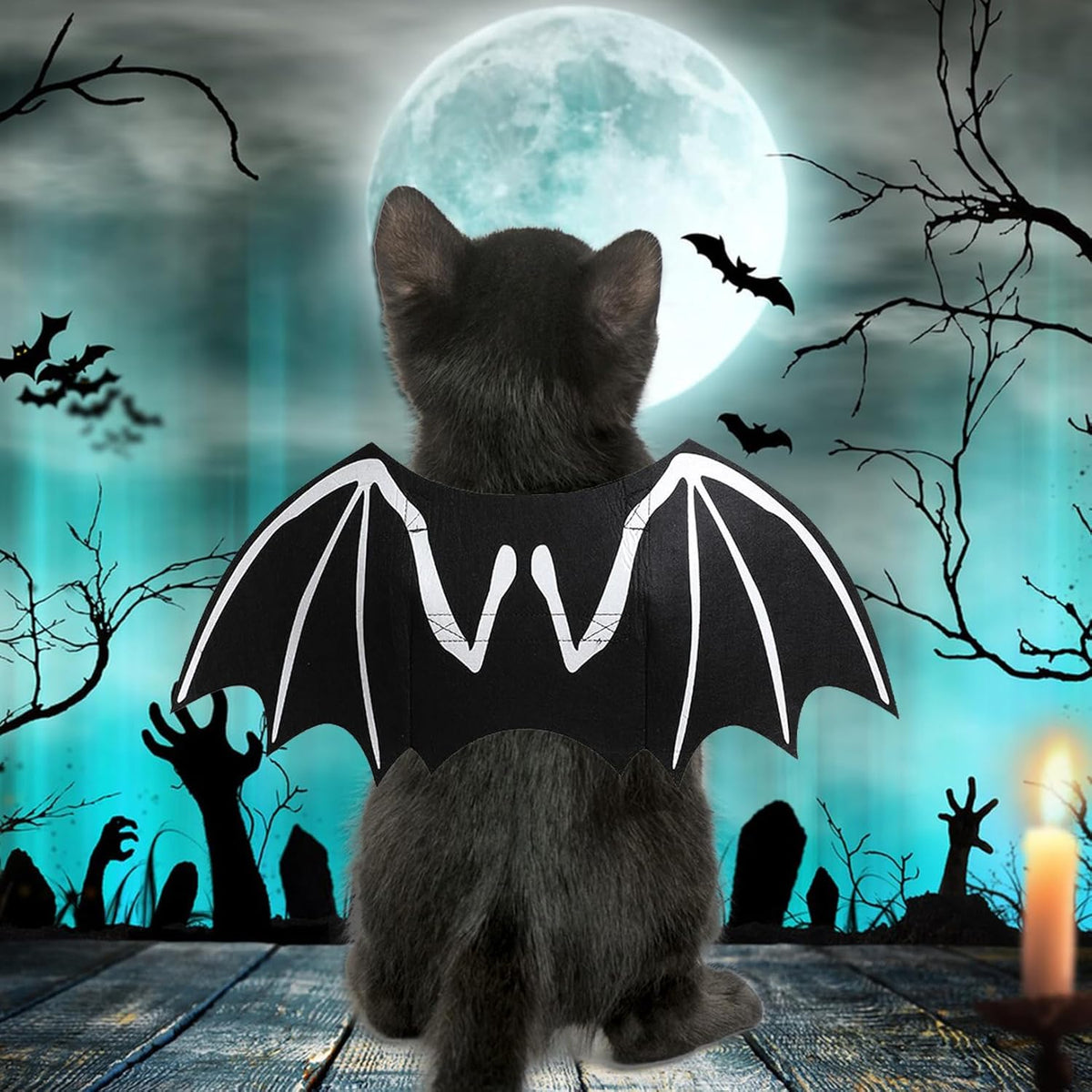 Skeleton Bat Wings Halloween Dog Costume 🦇🎃