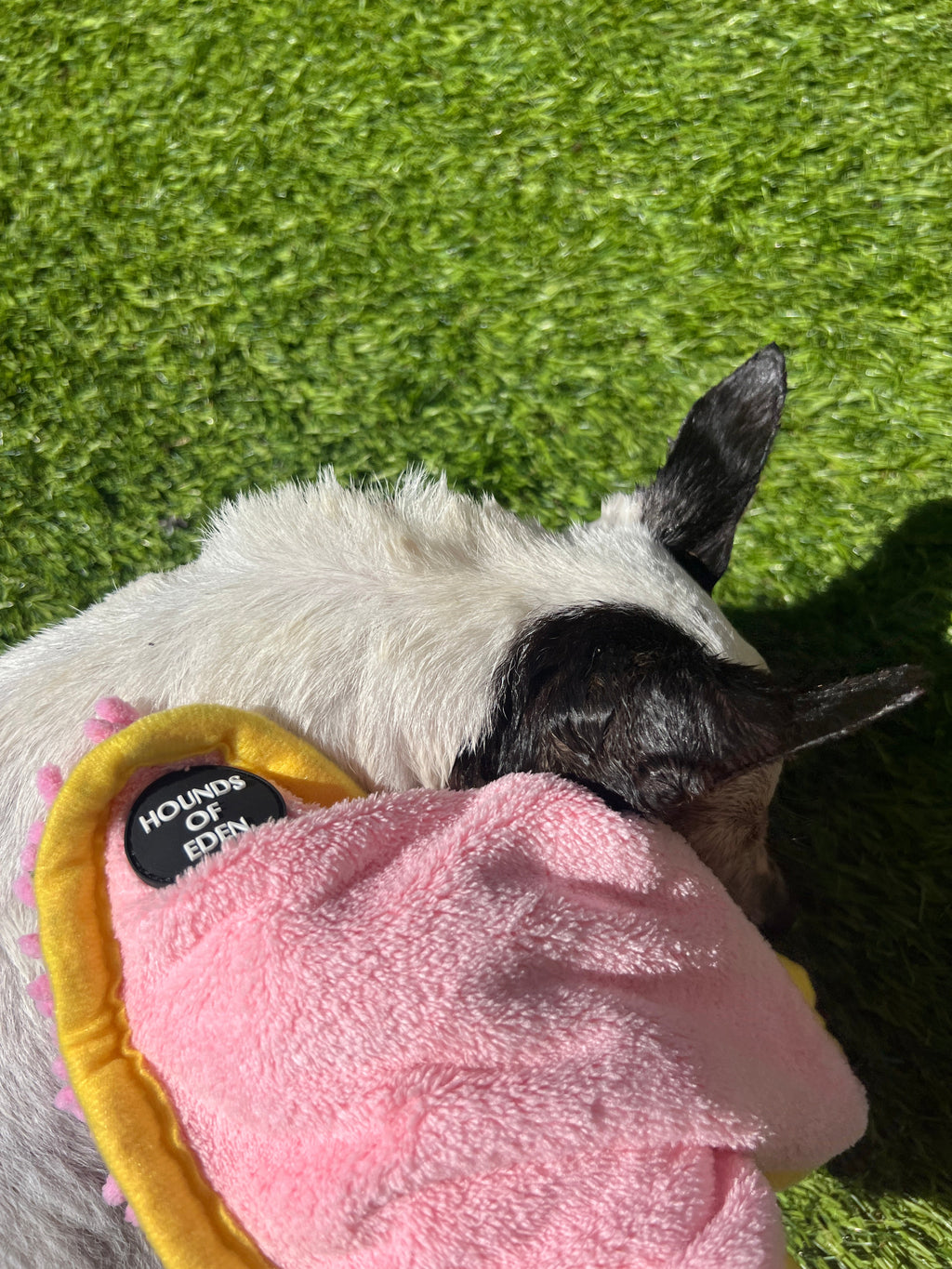 Mini Dog Towel + Clip – Hot Pink