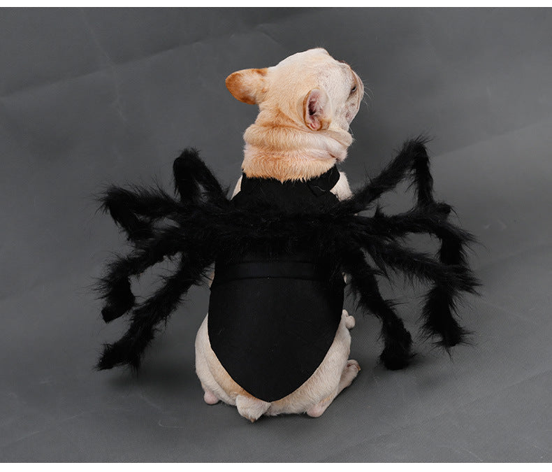 Spider Dog Costume – Black 🕷️