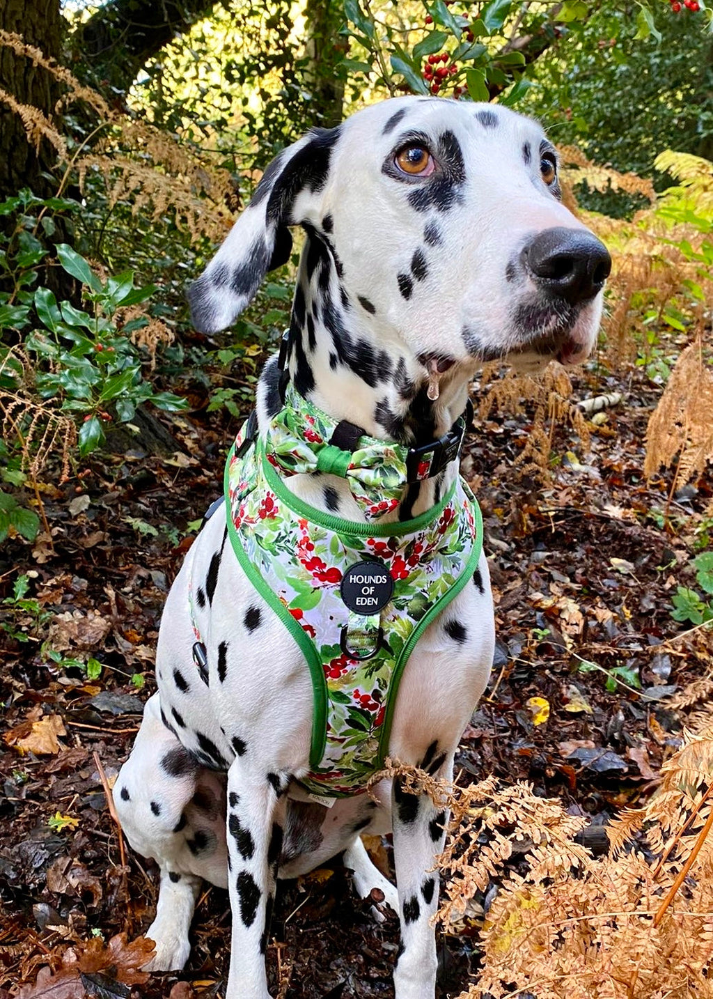 Winter Spruce & Berries Design Dog Harness