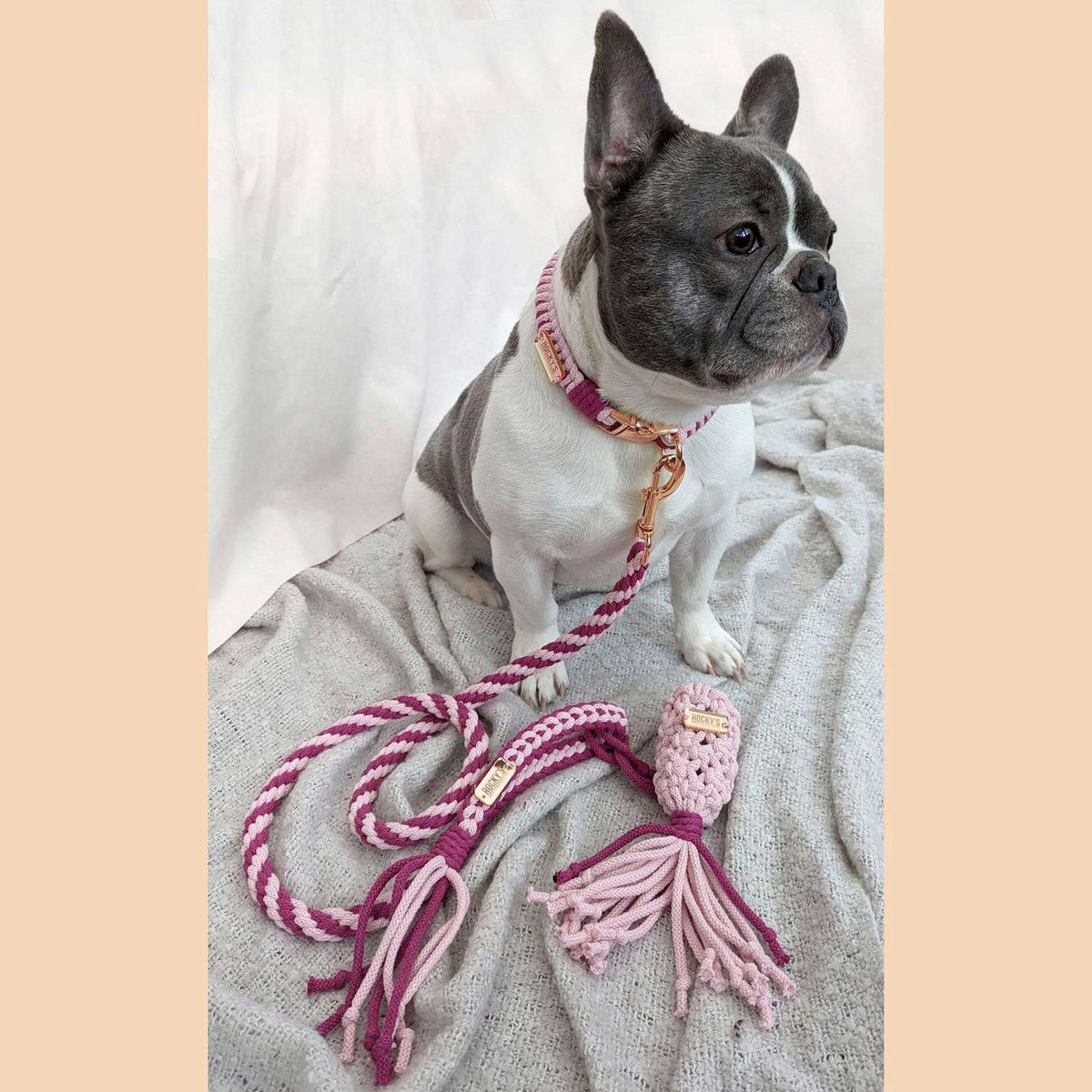 Make Your Own Dog Lead Craft Kit – Pink 🐾