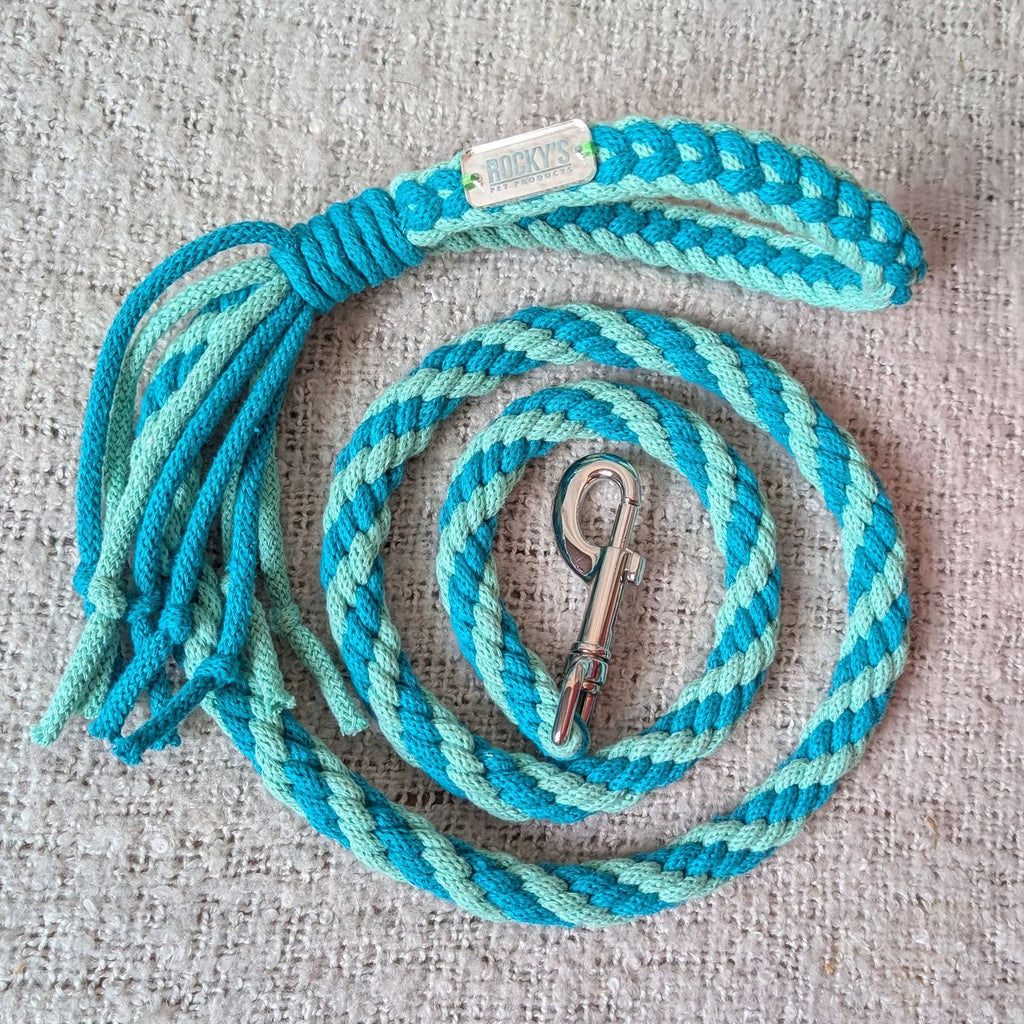Make Your Own Dog Lead Craft Kit – Mint 🐾