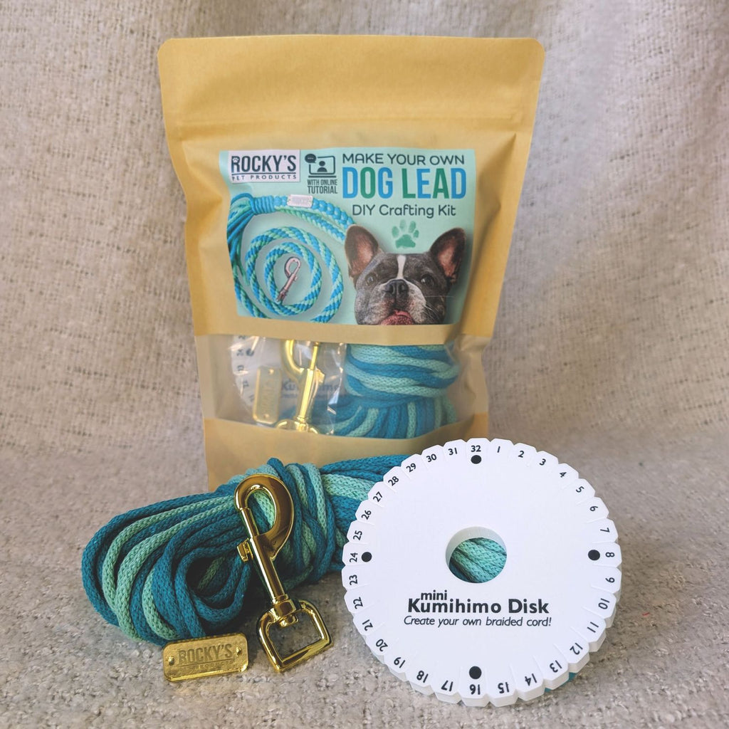 Make Your Own Dog Lead Craft Kit – Mint 🐾