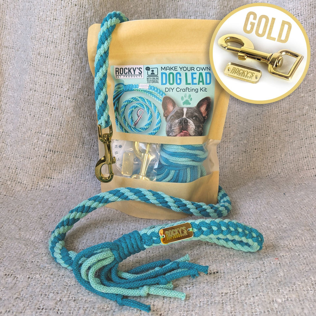 Make Your Own Dog Lead Craft Kit – Mint 🐾