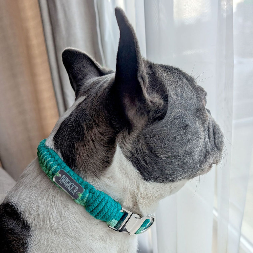 Make Your Own Dog Collar & Friendship Bracelet Kit 🐾 – Mint
