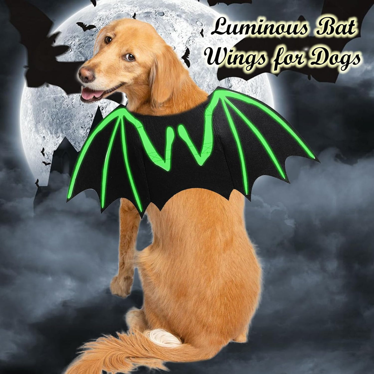 Skeleton Bat Wings Halloween Dog Costume 🦇🎃