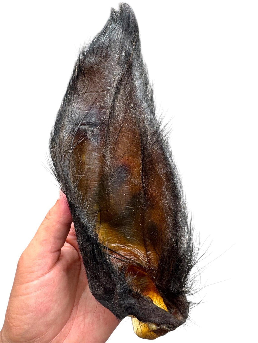 The Buffalo Co. Hairy Buffalo Ears with Meat – 50 Ears