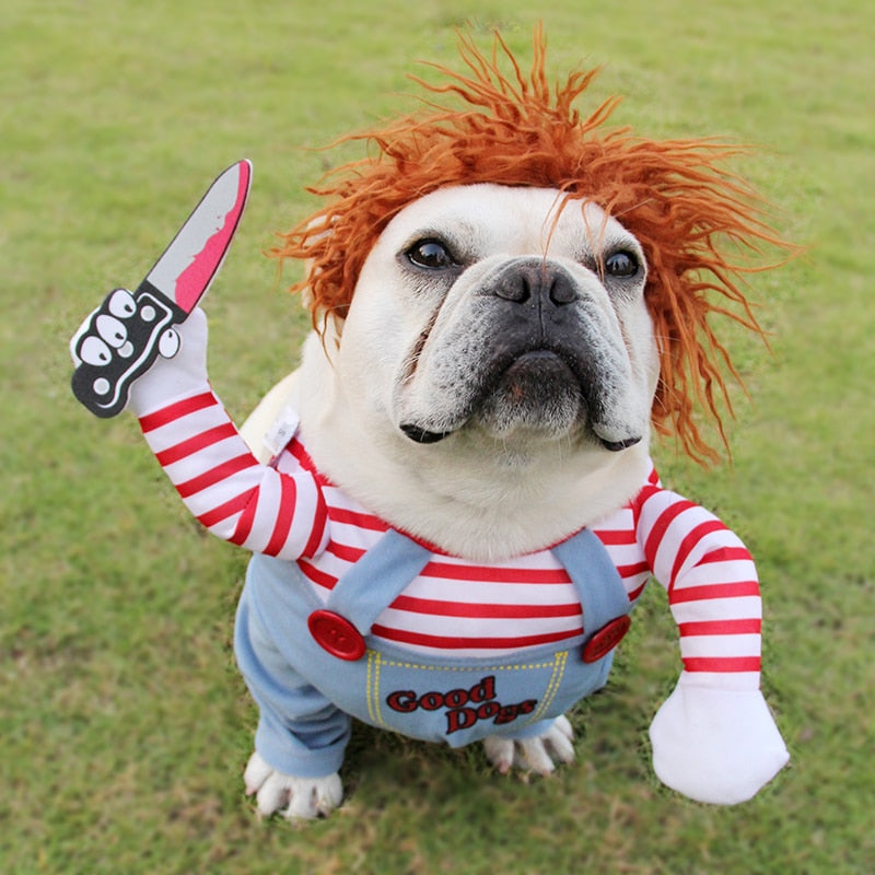 Scary Doll Halloween Dog Costume 🎃