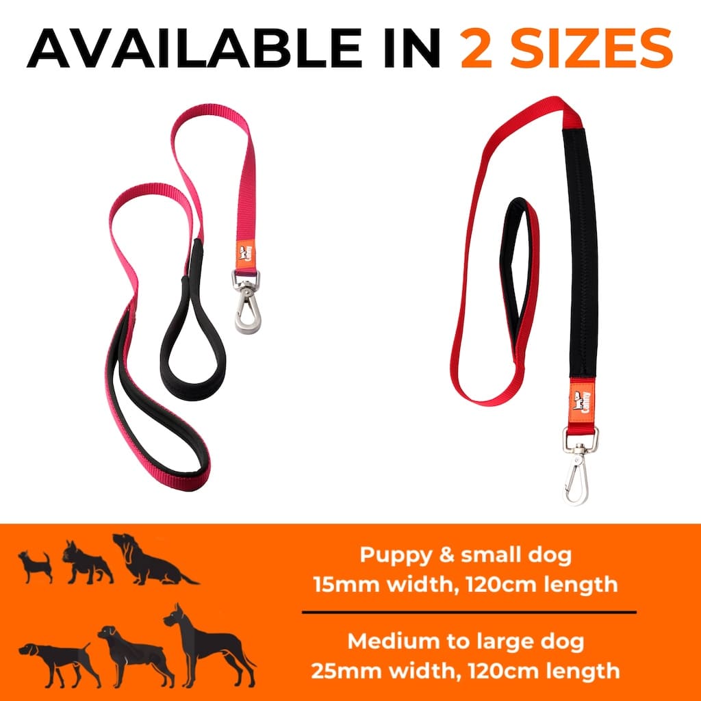 Canny Lead – Dog Walking & Training Lead, 120cm
