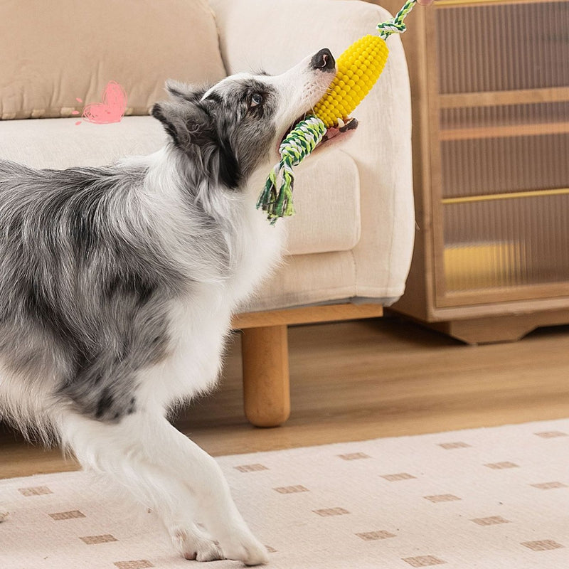 Corn Knot Dog Toy 🌽🐾