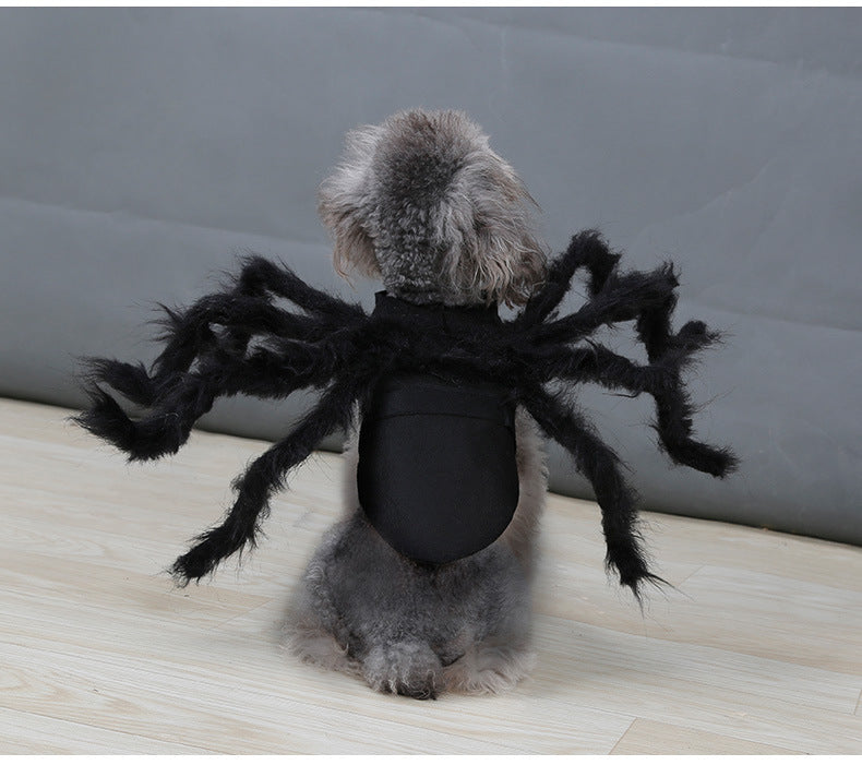 Spider Dog Costume – Black 🕷️