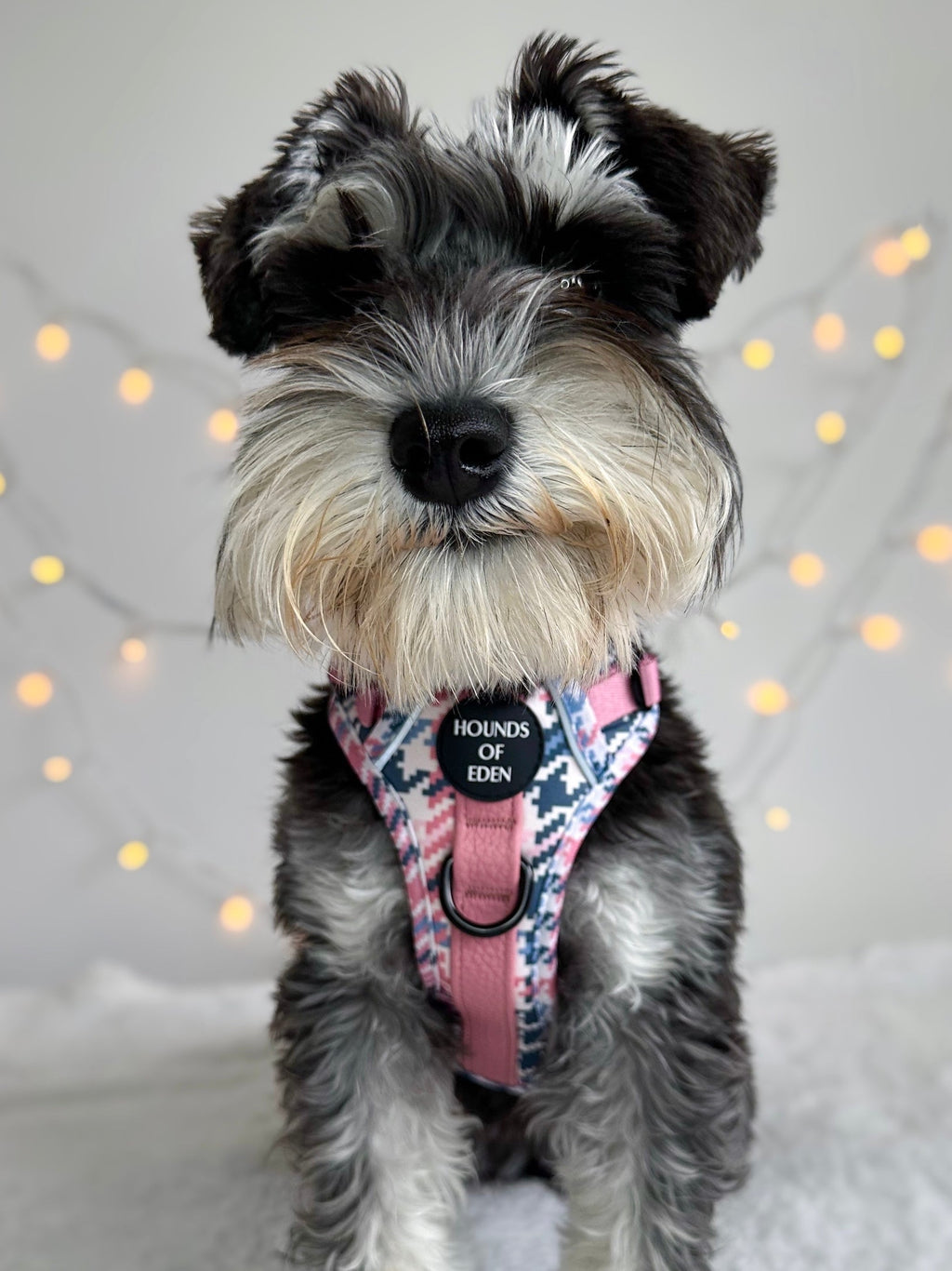 Pink Houndstooth Vegan Leather Dog Collar