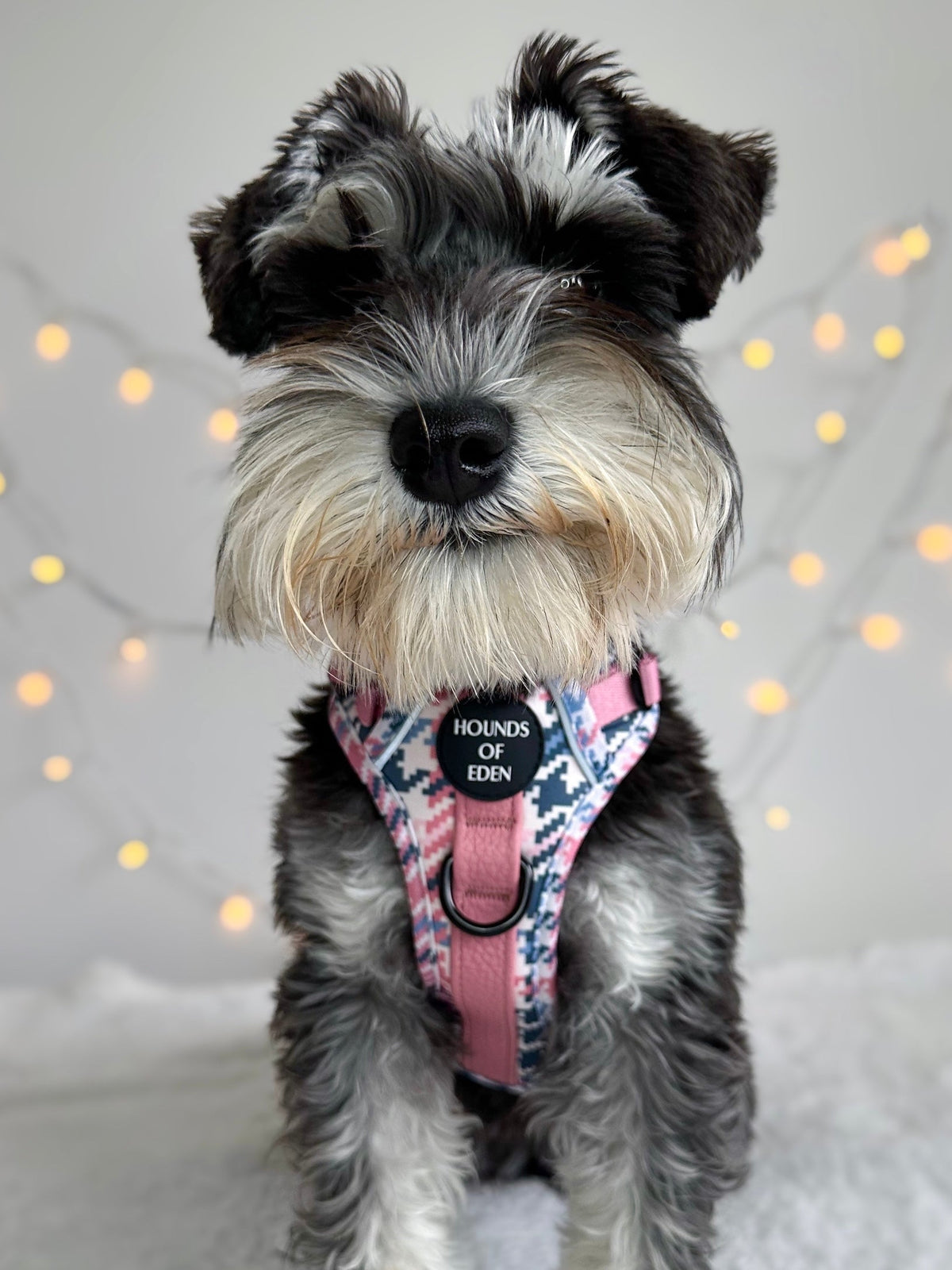 Pink Houndstooth Vegan Leather Dog Collar