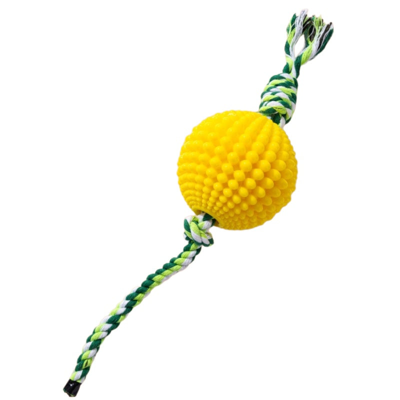 Corn Knot Dog Toy 🌽🐾