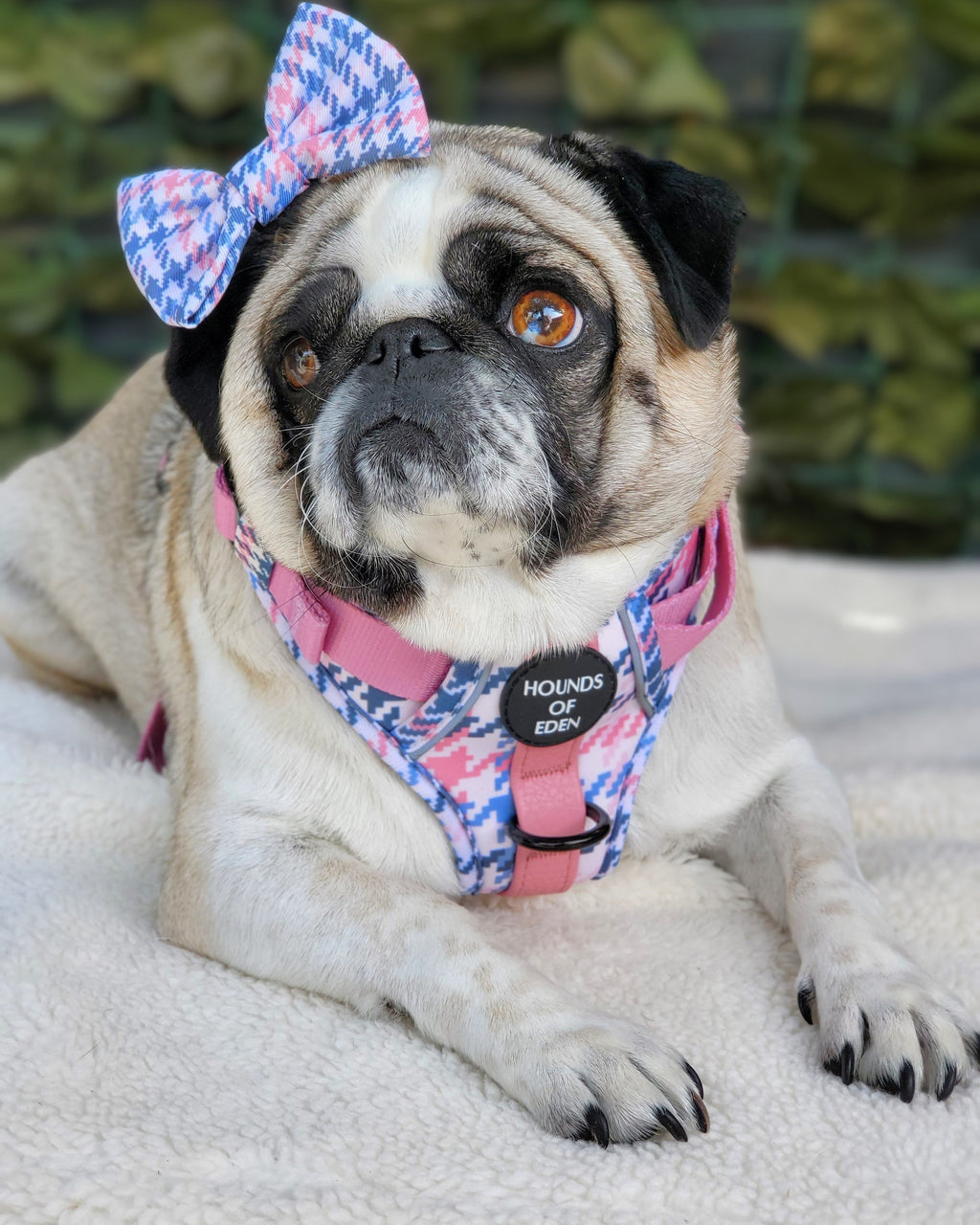Pink Houndstooth Vegan Leather Dog Collar