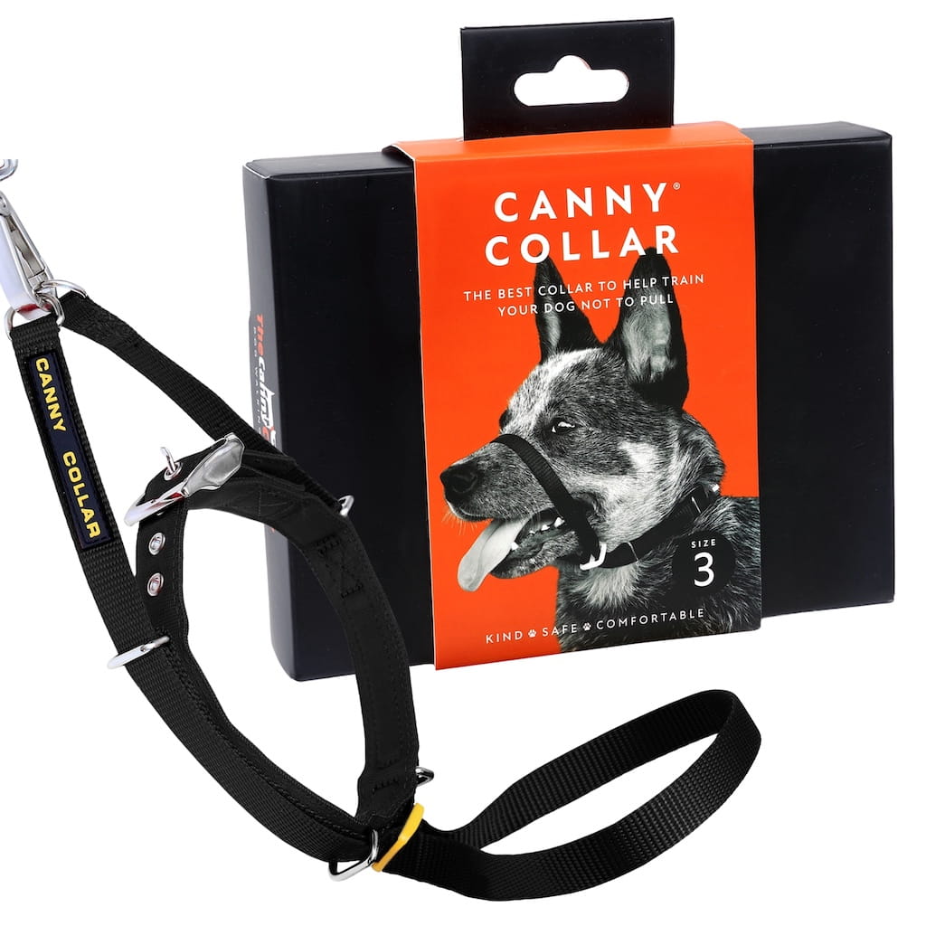 Canny Collar | No-Pull Dog Headcollar