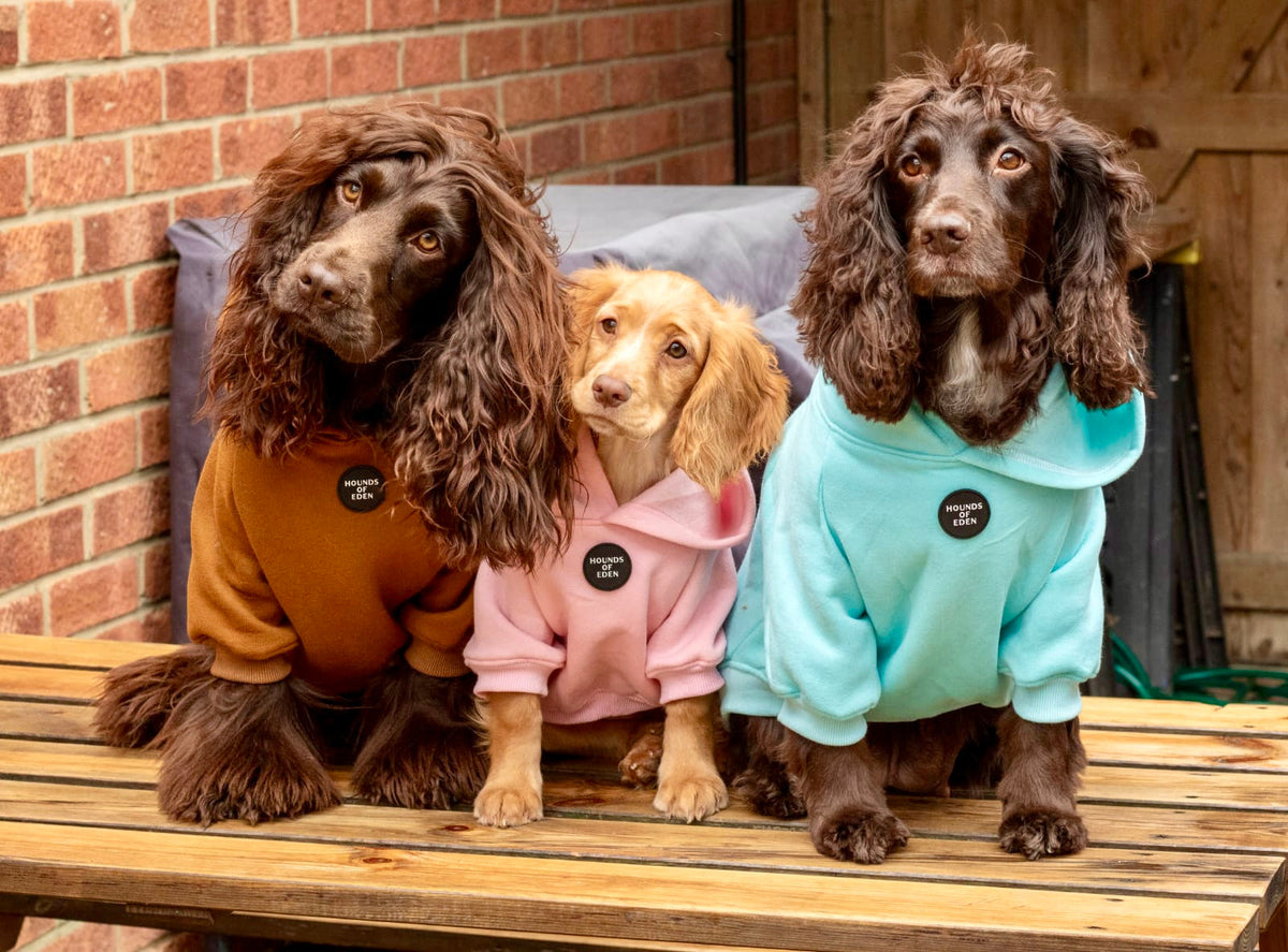 Grey Fleece-Lined Dog Hoodie | Hounds of Eden