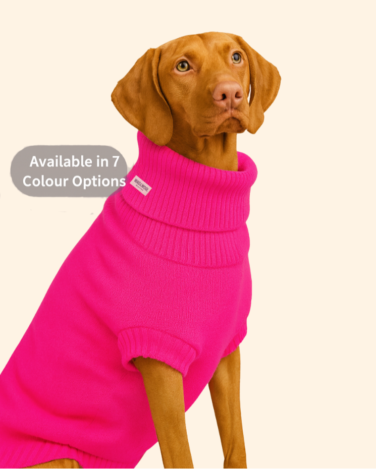British Wool Dog Jumper 🐾