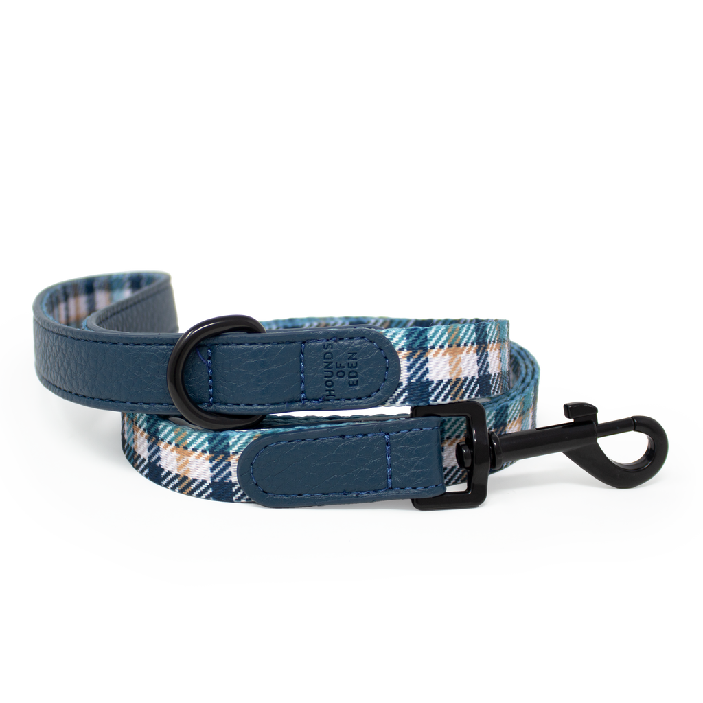 Tealing Smart Dog Supaw Strong Lite™ Harness (XS-XL)