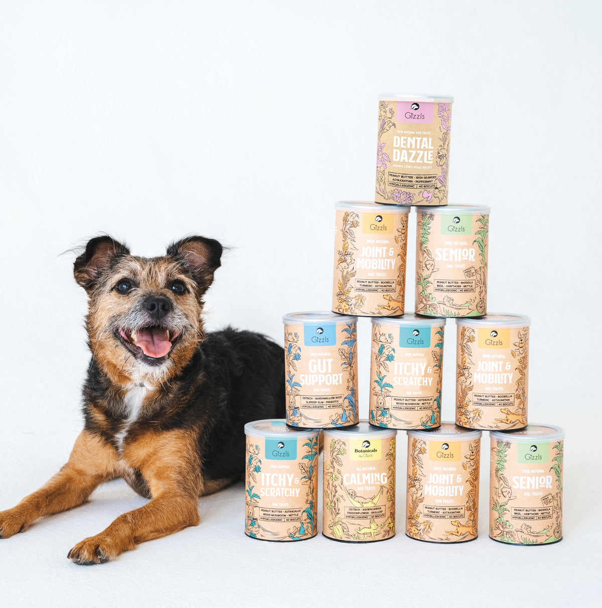 Gizzls Wellness Bundle | 6 Dog Supplements