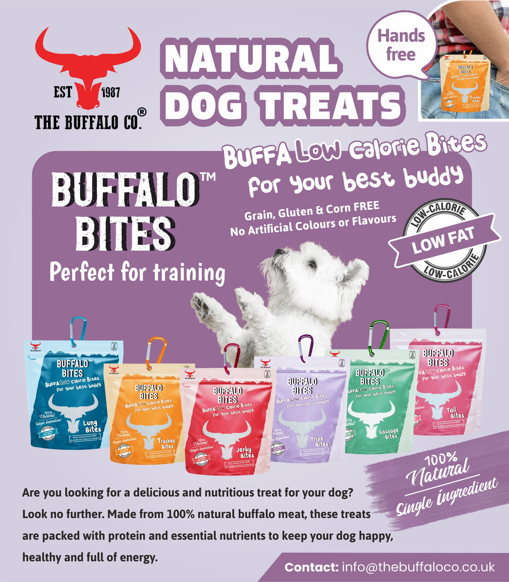 Buffalo Lung Bites – 30g | The Buffalo Co.
