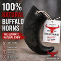 Buffalo Horn Dog Chew – Large (6-8 inch)