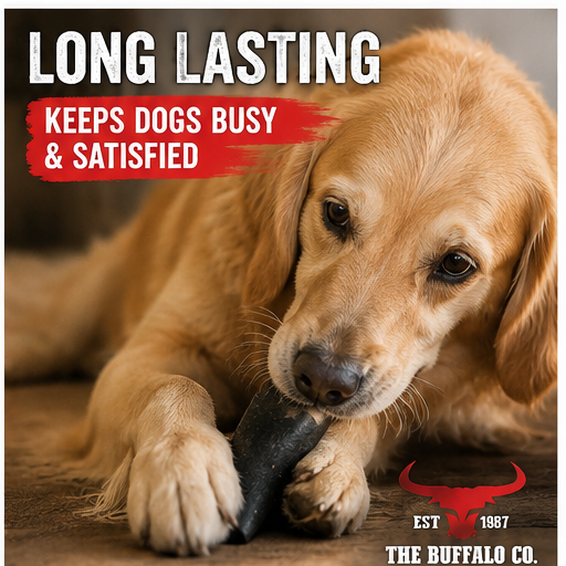 Buffalo Horn Dog Chew – Large (6-8 inch)