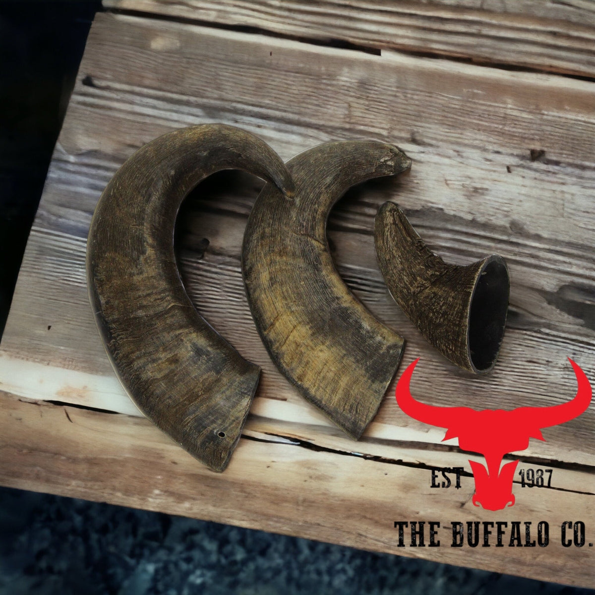 Buffalo Horn Dog Chew – Large (6-8 inch)